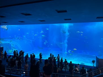沖縄美ら海水族館に投稿された画像（2023/3/10）