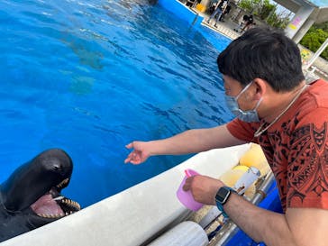 沖縄美ら海水族館に投稿された画像（2023/3/10）