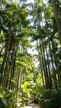 美らヤシパークオキナワ・東南植物楽園に投稿された画像（2023/3/10）