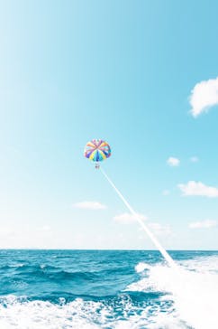 Sea World（シーワールド）に投稿された画像（2023/3/10）