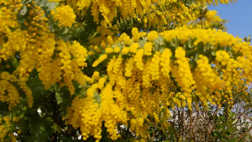 神戸どうぶつ王国に投稿された画像（2023/3/10）