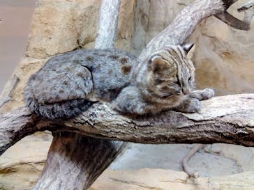 那須どうぶつ王国に投稿された画像（2023/3/10）