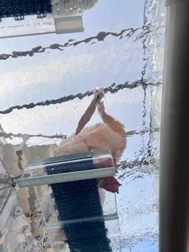 サンシャイン水族館に投稿された画像（2023/3/10）