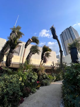 サンシャイン水族館に投稿された画像（2023/3/10）