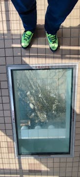 徳島県立 渦の道に投稿された画像（2023/3/10）