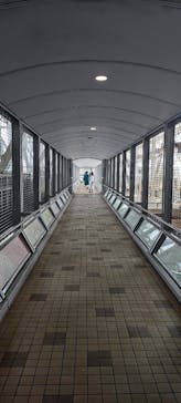 徳島県立 渦の道に投稿された画像（2023/3/10）