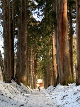 戸隠スキー場に投稿された画像（2023/3/10）
