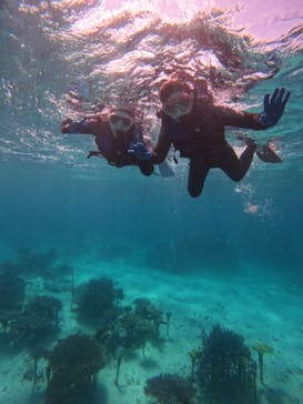 青の洞窟専門店　沖縄ダイビングショップ和に投稿された画像（2023/3/10）