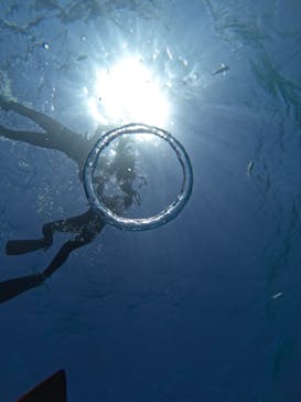 青の洞窟専門店　沖縄ダイビングショップ和に投稿された画像（2023/3/10）