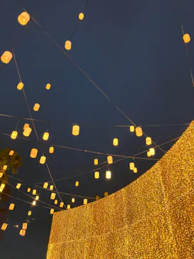 ひらかたパークに投稿された画像（2023/3/10）