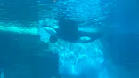 名古屋港水族館に投稿された画像（2023/3/11）