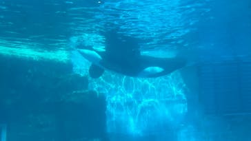 名古屋港水族館に投稿された画像（2023/3/10）