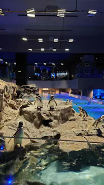 すみだ水族館に投稿された画像（2023/3/10）