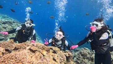 青の洞窟専門店　沖縄ダイビングショップ和に投稿された画像（2023/3/10）