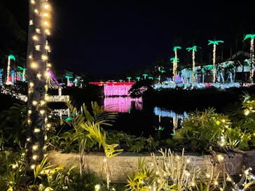 美らヤシパークオキナワ・東南植物楽園に投稿された画像（2023/3/11）