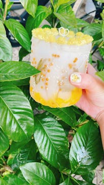 ずこうしつ〜sugamo〜に投稿された画像（2023/3/11）