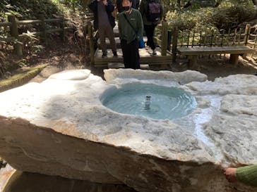 偕楽園本園に投稿された画像（2023/3/11）