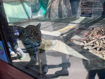 天王寺動物園に投稿された画像（2023/3/11）