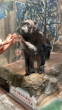 天王寺動物園に投稿された画像（2023/3/11）