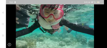 武藤潜水に投稿された画像（2023/3/11）