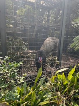 到津の森公園に投稿された画像（2023/3/11）