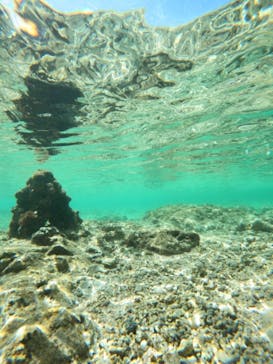 沖縄マリンサービス碧に投稿された画像（2023/3/11）