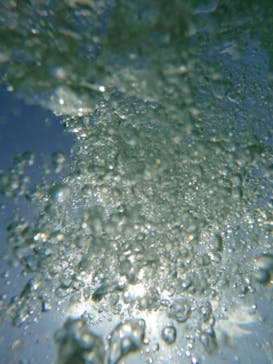 沖縄マリンサービス碧に投稿された画像（2023/3/11）