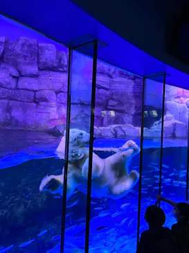 横浜・八景島シーパラダイスに投稿された画像（2023/3/11）