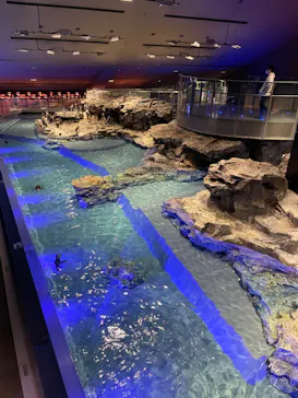 すみだ水族館に投稿された画像（2023/3/11）