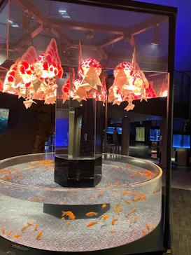 すみだ水族館に投稿された画像（2023/3/11）