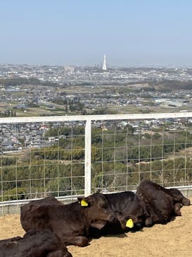 ワールド牧場に投稿された画像（2023/3/11）