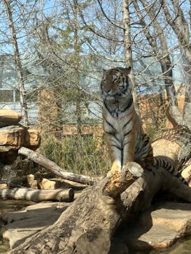 那須どうぶつ王国に投稿された画像（2023/3/11）