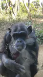 よこはま動物園ズーラシアに投稿された画像（2023/3/11）