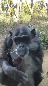 よこはま動物園ズーラシアに投稿された画像（2023/3/11）