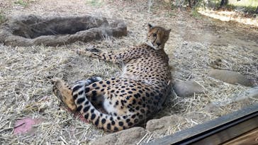 よこはま動物園ズーラシアに投稿された画像（2023/3/11）