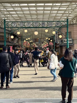 西武園ゆうえんちに投稿された画像（2023/3/11）