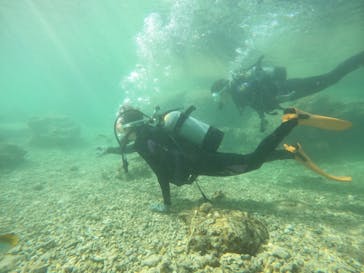 沖縄マリンサービス碧に投稿された画像（2023/3/11）