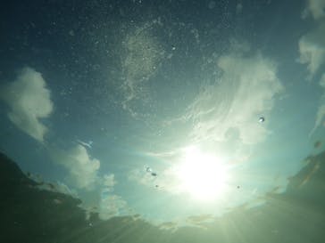 沖縄マリンサービス碧に投稿された画像（2023/3/11）