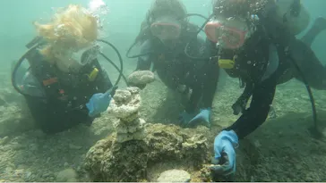 武藤潜水に投稿された画像（2023/3/11）