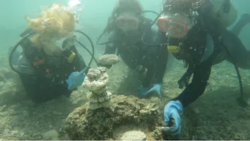 武藤潜水に投稿された画像（2023/3/11）