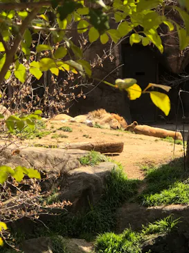 天王寺動物園に投稿された画像（2023/3/11）