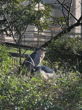 天王寺動物園に投稿された画像（2023/3/11）