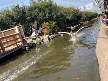 神戸どうぶつ王国に投稿された画像（2023/3/11）