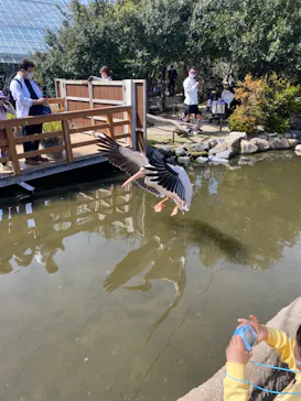 神戸どうぶつ王国に投稿された画像（2023/3/11）