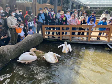 神戸どうぶつ王国に投稿された画像（2023/3/11）