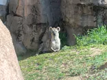 天王寺動物園に投稿された画像（2023/3/11）