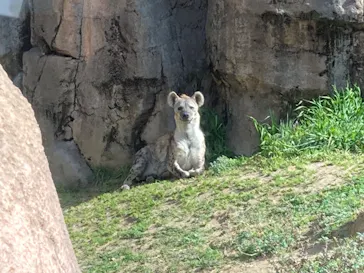 天王寺動物園に投稿された画像（2023/3/11）