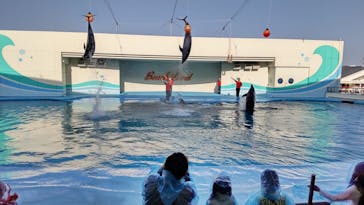 南知多ビーチランド＆南知多おもちゃ王国に投稿された画像（2023/3/11）