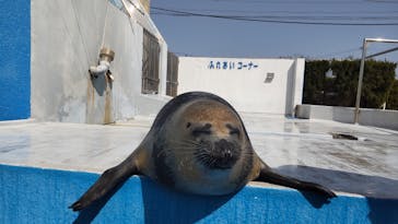 南知多ビーチランド＆南知多おもちゃ王国に投稿された画像（2023/3/11）