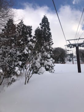 黒伏高原スノーパーク ジャングル・ジャングルに投稿された画像（2023/3/11）